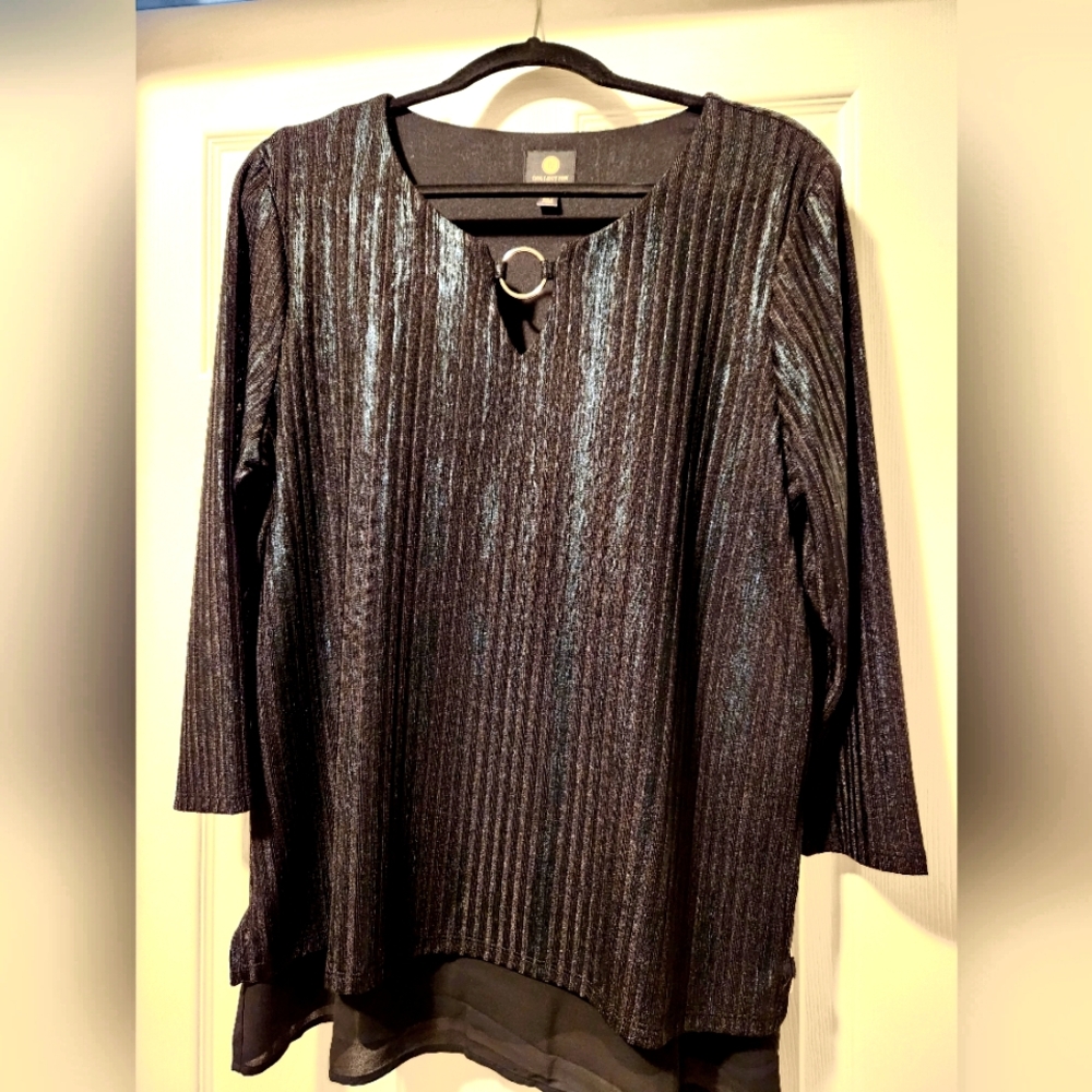 NWOT Shimmery tunic blouse with sheer underlay
